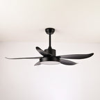 Noctura Glide Designer Black Ceiling Fan Light