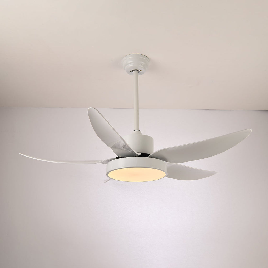 Noctura Glide Designer Black Ceiling Fan Light