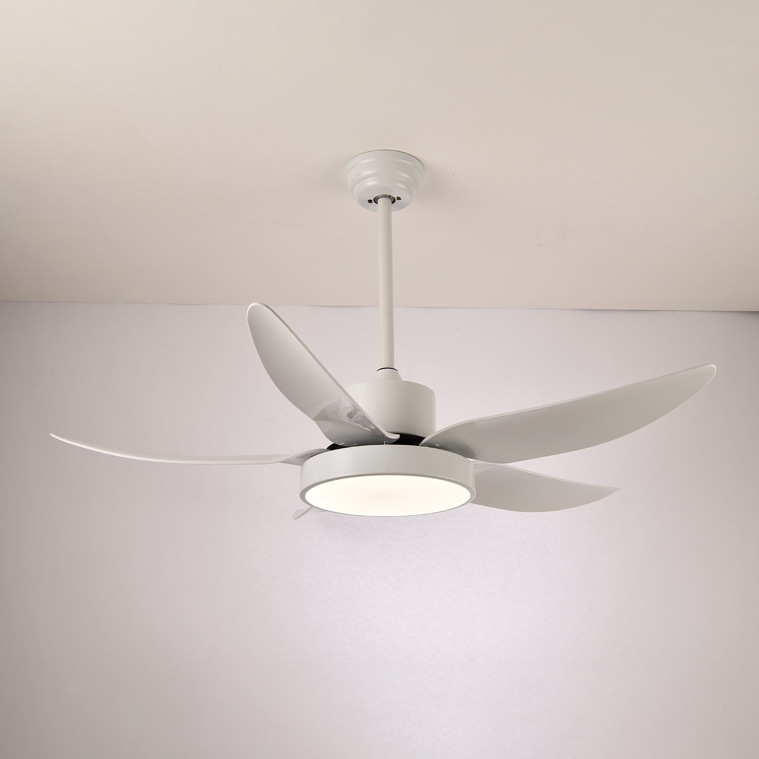 Noctura Glide Designer Black Ceiling Fan Light