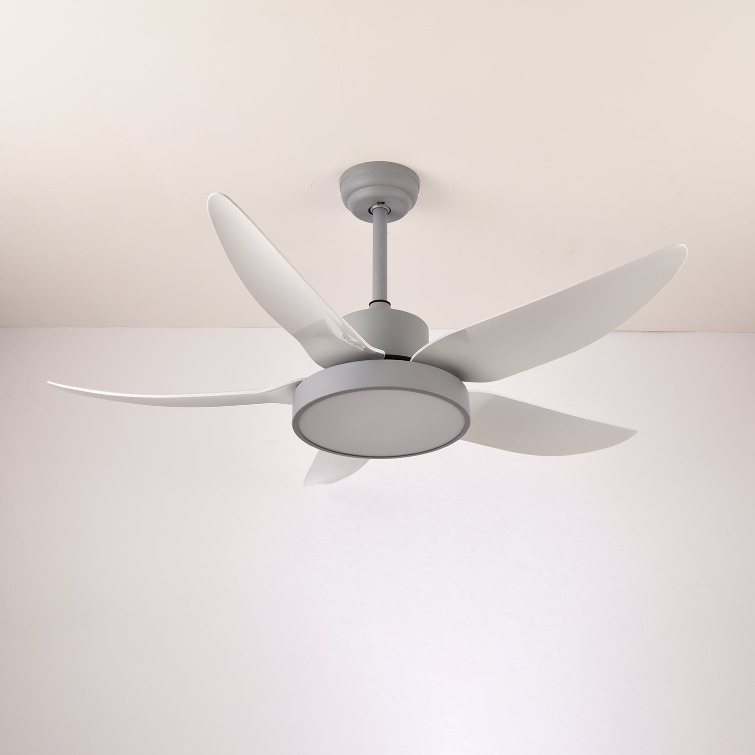 Noctura Glide Designer Black Ceiling Fan Light