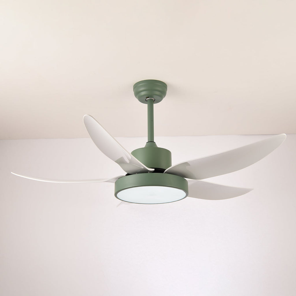 Noctura Glide Designer Black Ceiling Fan Light