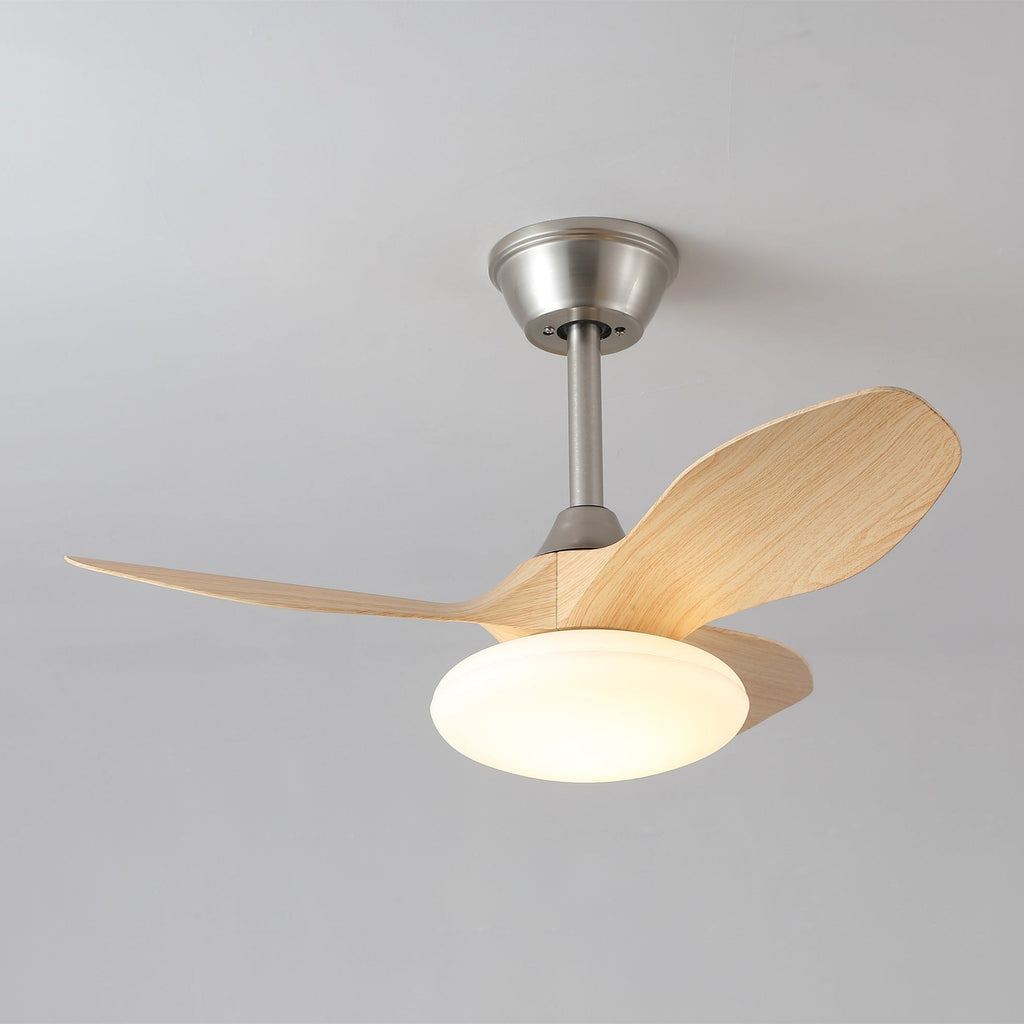 Zephira Minimalist Luxe Ceiling Fan Light