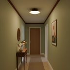 Paulo Dome Ceiling Light