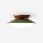 Paulo Dome Ceiling Light