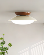 Paulo Dome Ceiling Light