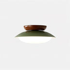 Paulo Dome Ceiling Light