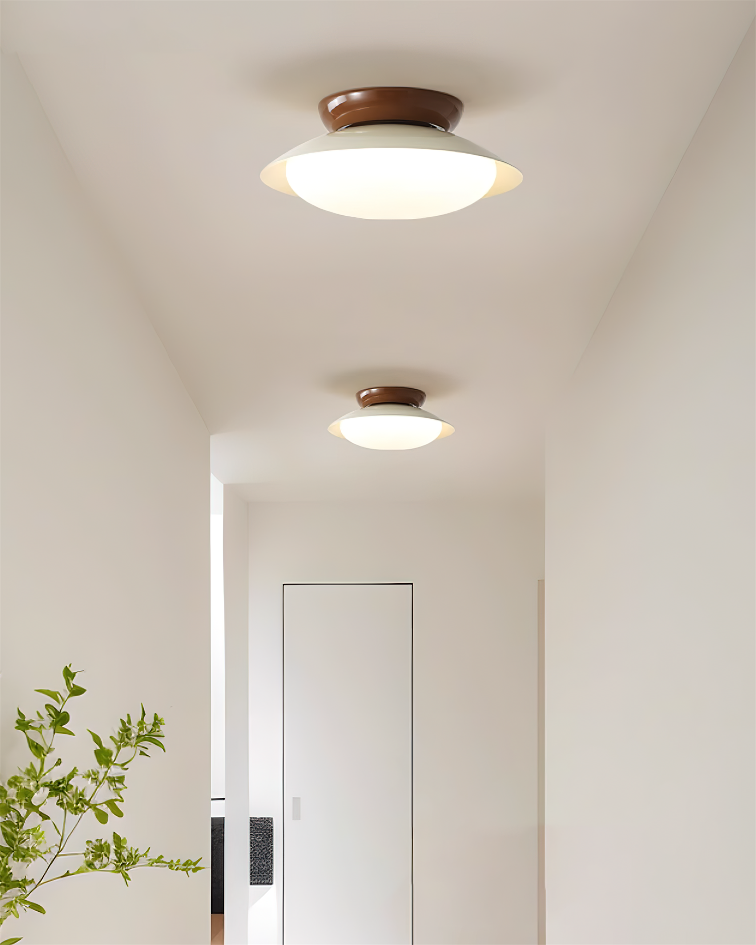 Paulo Dome Ceiling Light