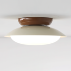 Paulo Dome Ceiling Light