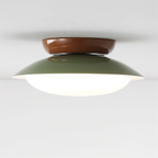 Paulo Dome Ceiling Light