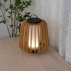 Terra Outdoor Lantern Light