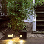 Cube Halo Path Light