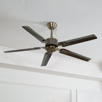 Rozzen Architectural Sleek Blade Ceiling Fan