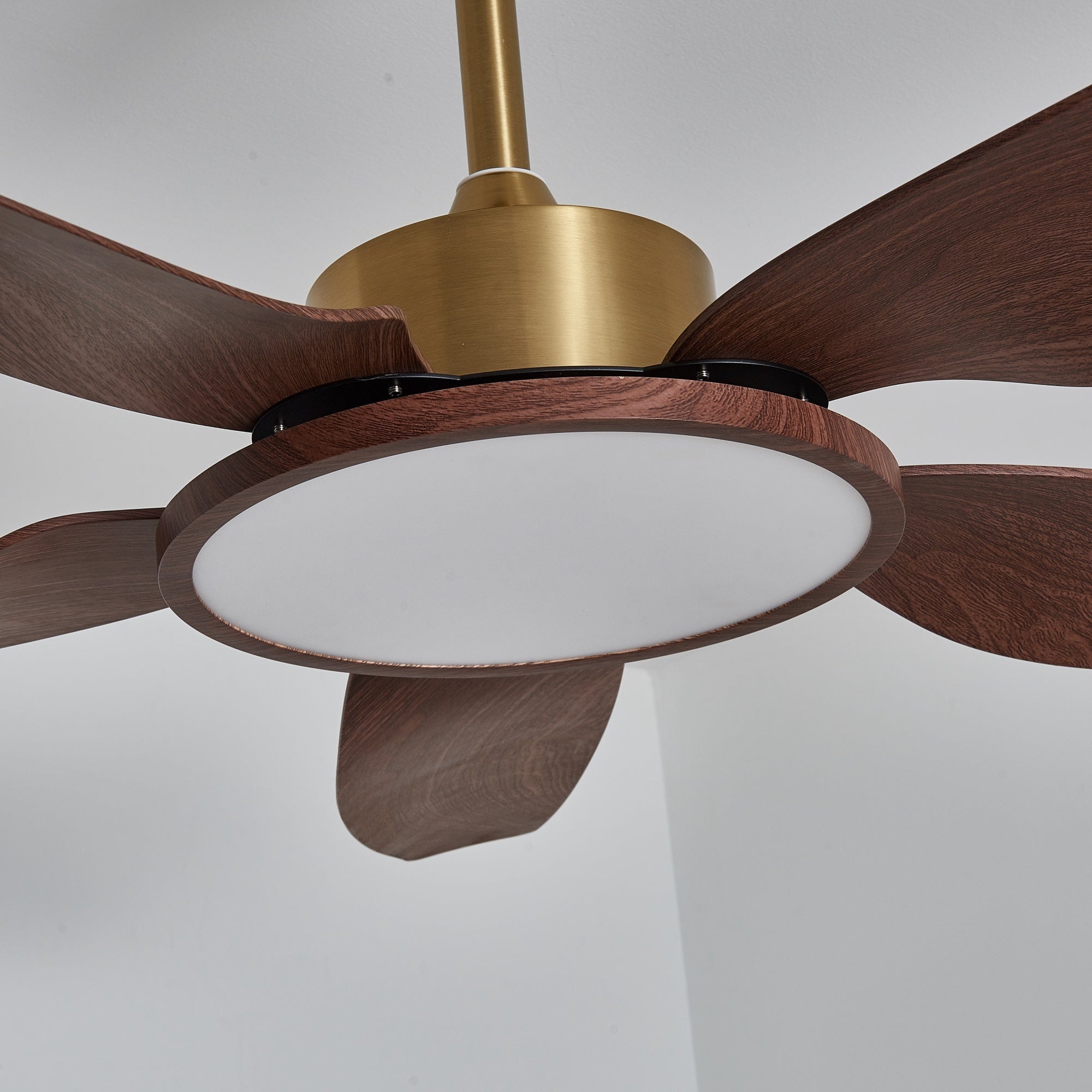 Sirocco Walnut Blade Brass Ceiling Fan Light