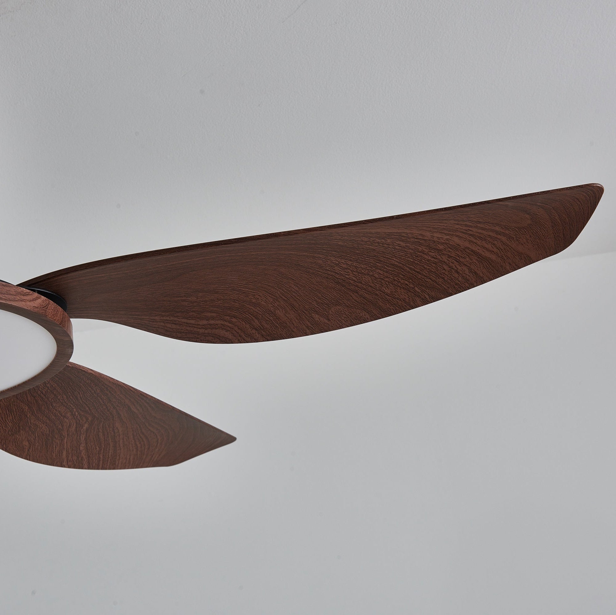 Sirocco Walnut Blade Brass Ceiling Fan Light