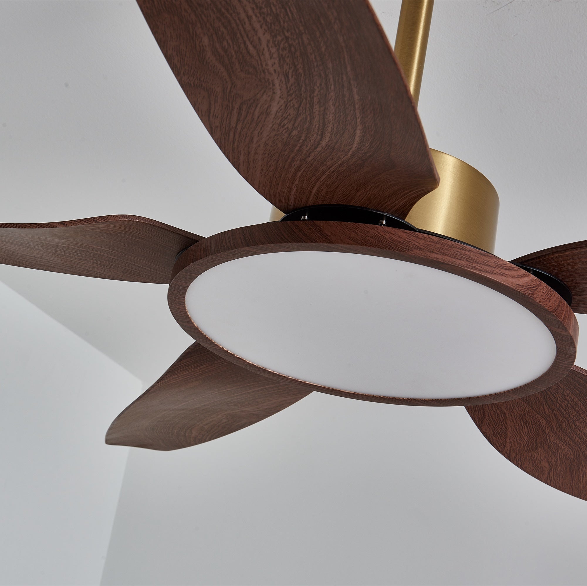 Sirocco Walnut Blade Brass Ceiling Fan Light