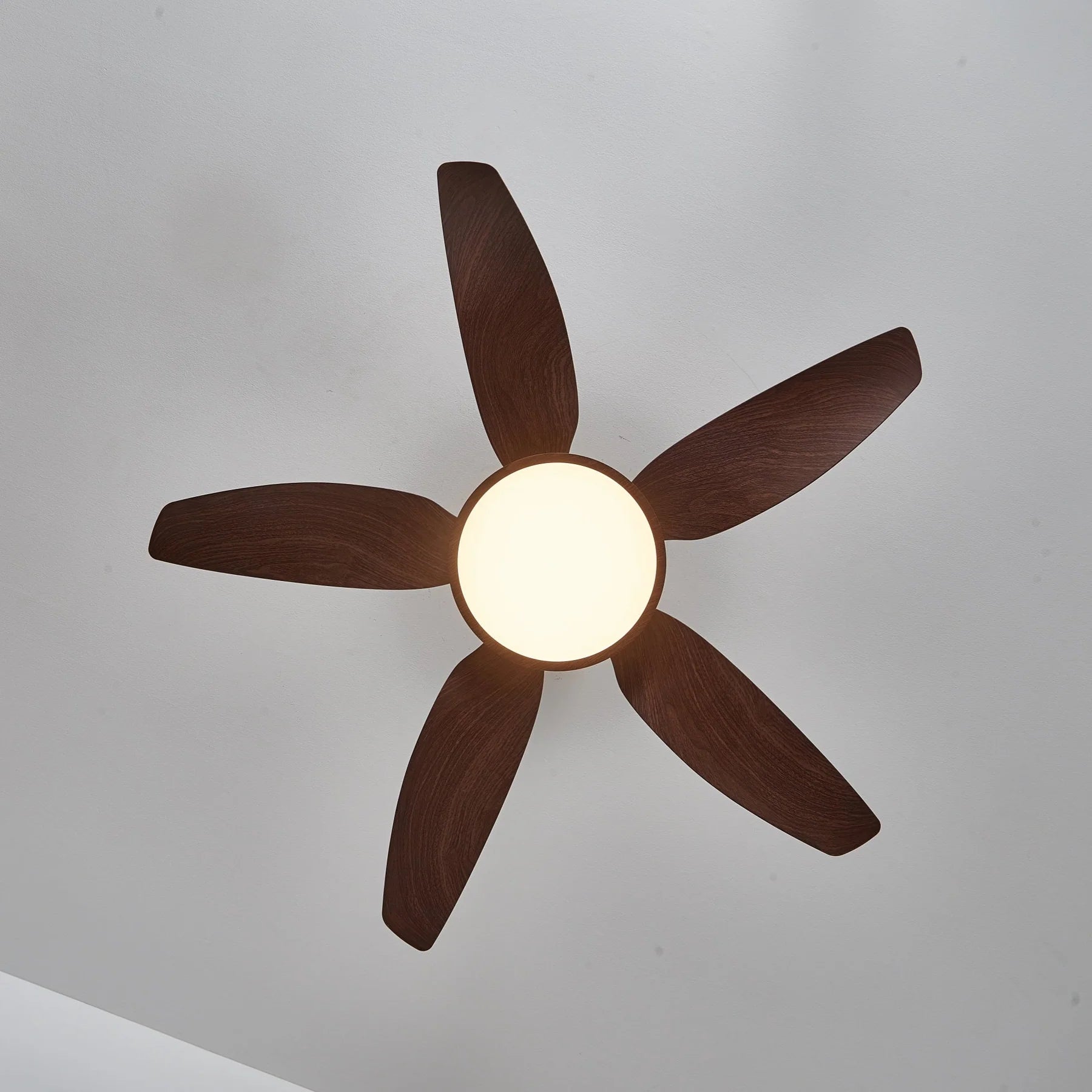 Sirocco Walnut Blade Brass Ceiling Fan Light