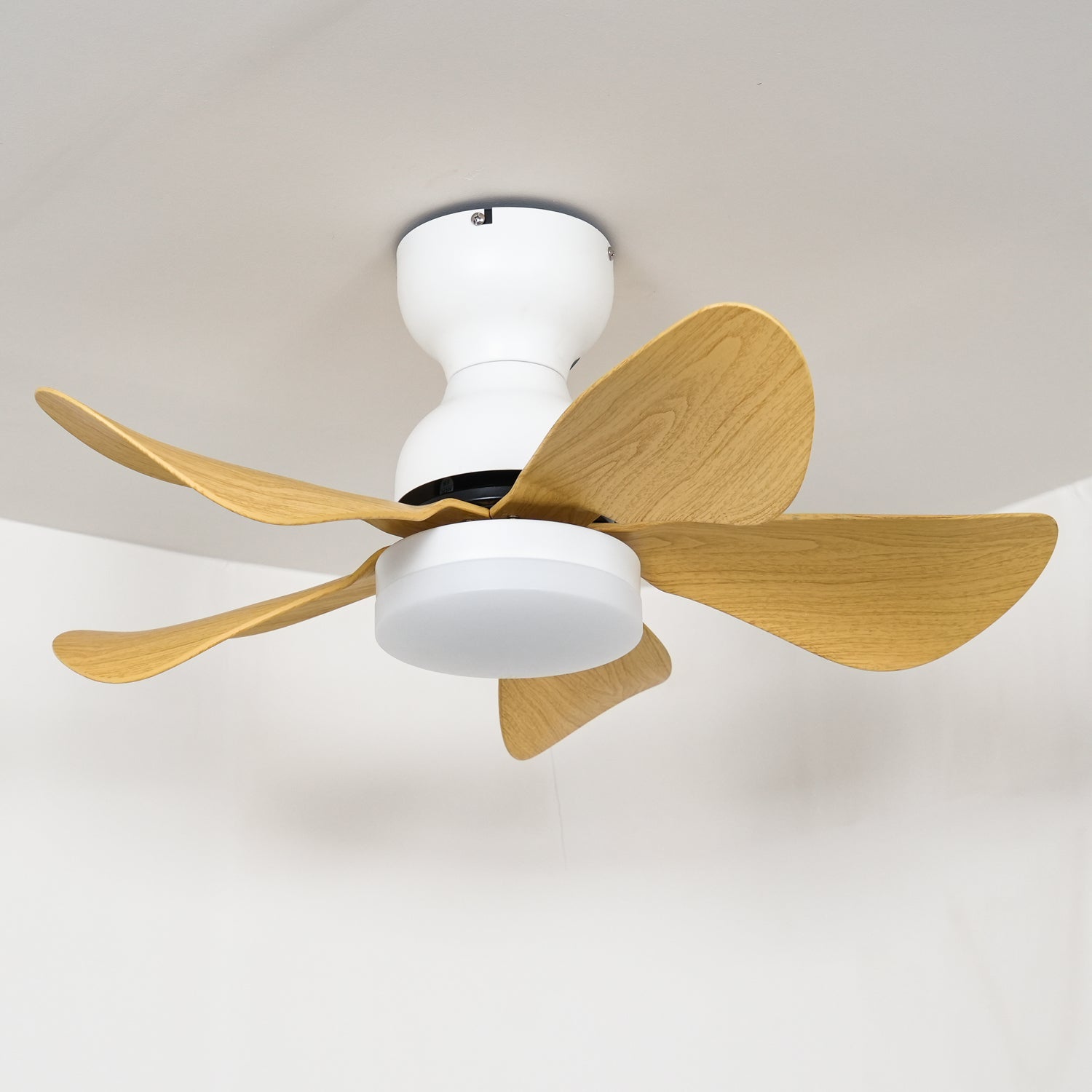Arilia Modern Walnut Blade Flush Fan Light