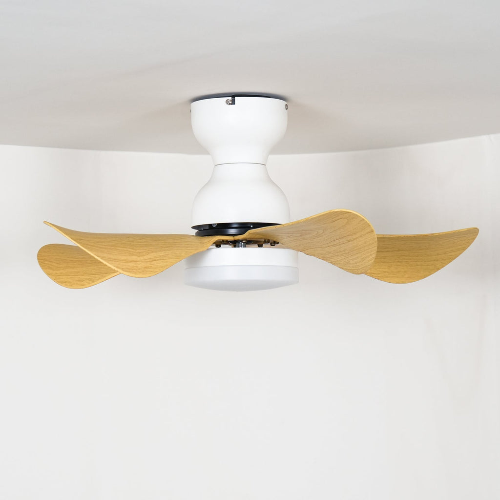 Arilia Modern Walnut Blade Flush Fan Light