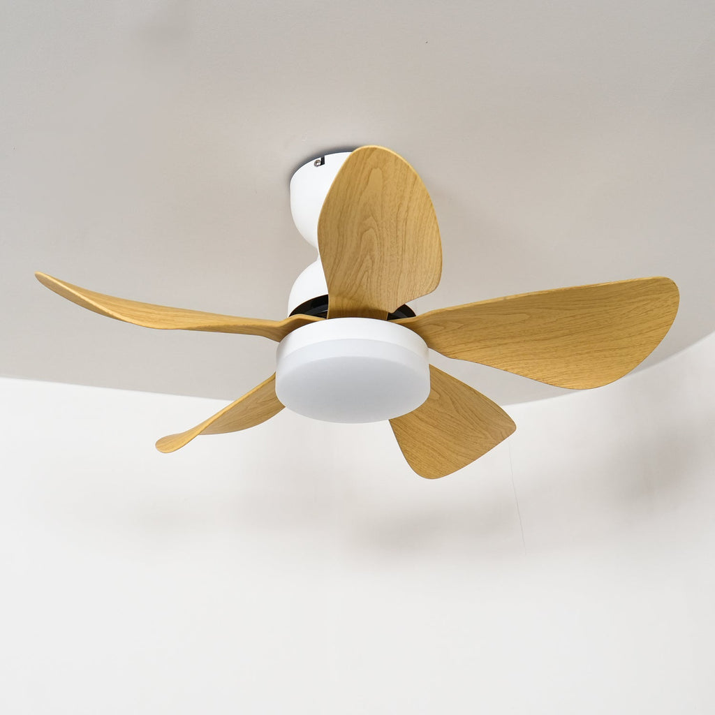 Arilia Modern Walnut Blade Flush Fan Light