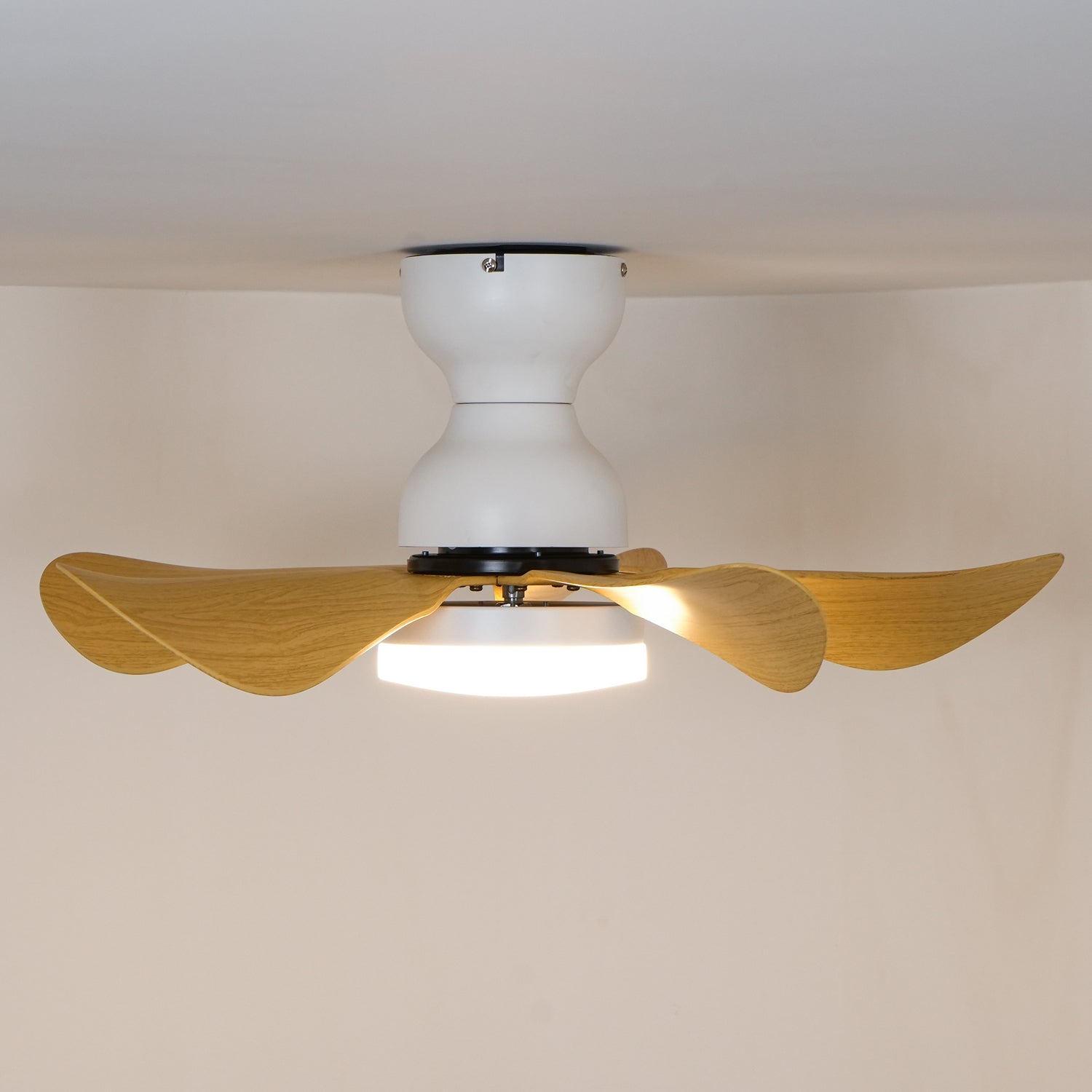 Arilia Modern Walnut Blade Flush Fan Light
