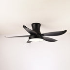 Zephyr Noir Luxe Sculpted Ceiling Fan Light