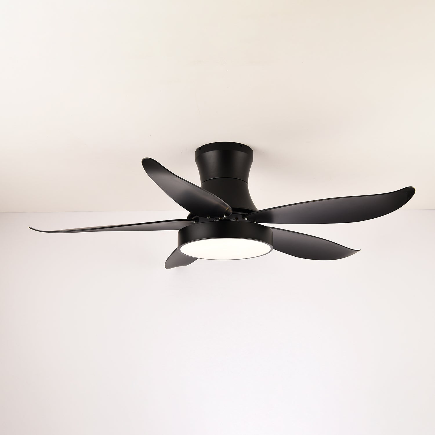 Zephyr Noir Luxe Sculpted Ceiling Fan Light