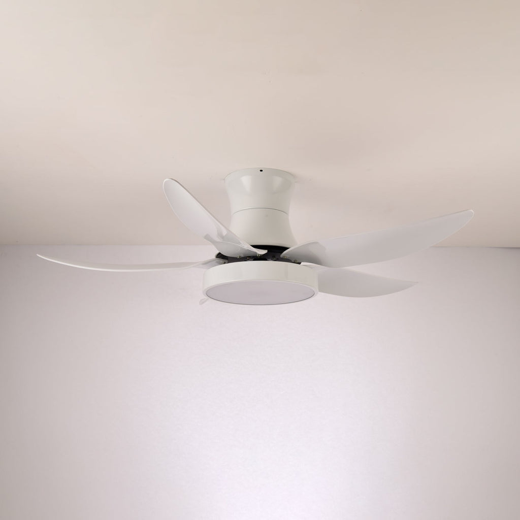 Zephyr Noir Luxe Sculpted Ceiling Fan Light