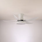 Zephyr Noir Luxe Sculpted Ceiling Fan Light
