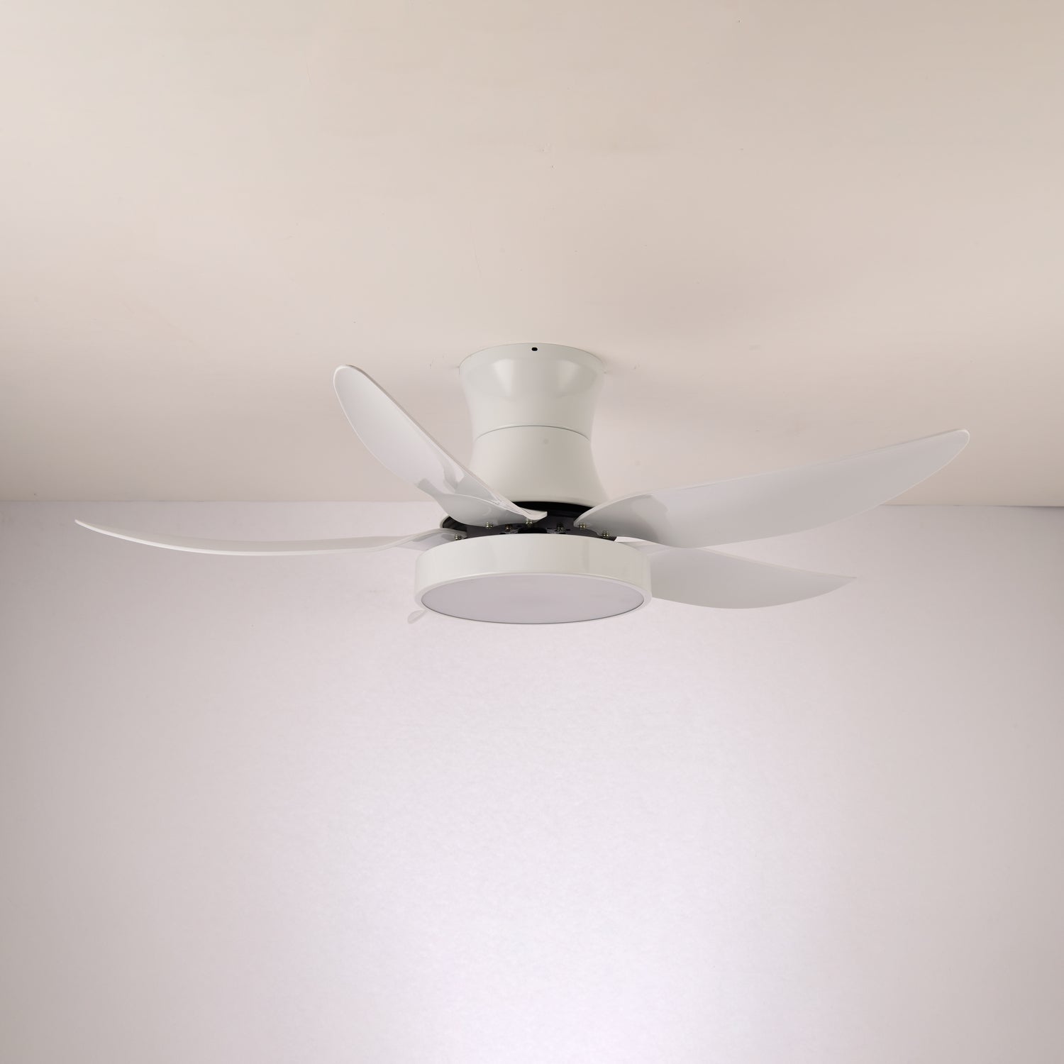 Zephyr Noir Luxe Sculpted Ceiling Fan Light