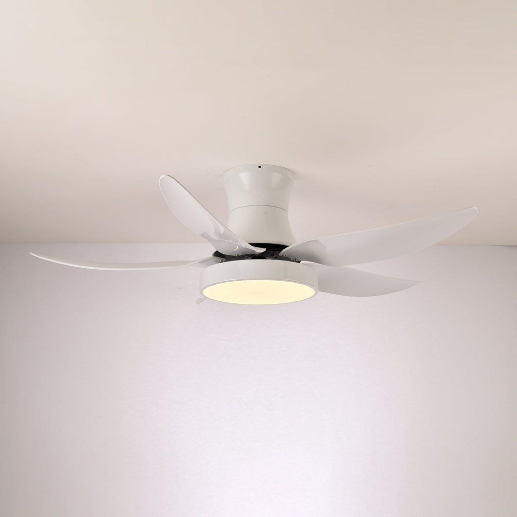 Zephyr Noir Luxe Sculpted Ceiling Fan Light