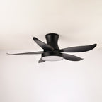 Zephyr Noir Luxe Sculpted Ceiling Fan Light