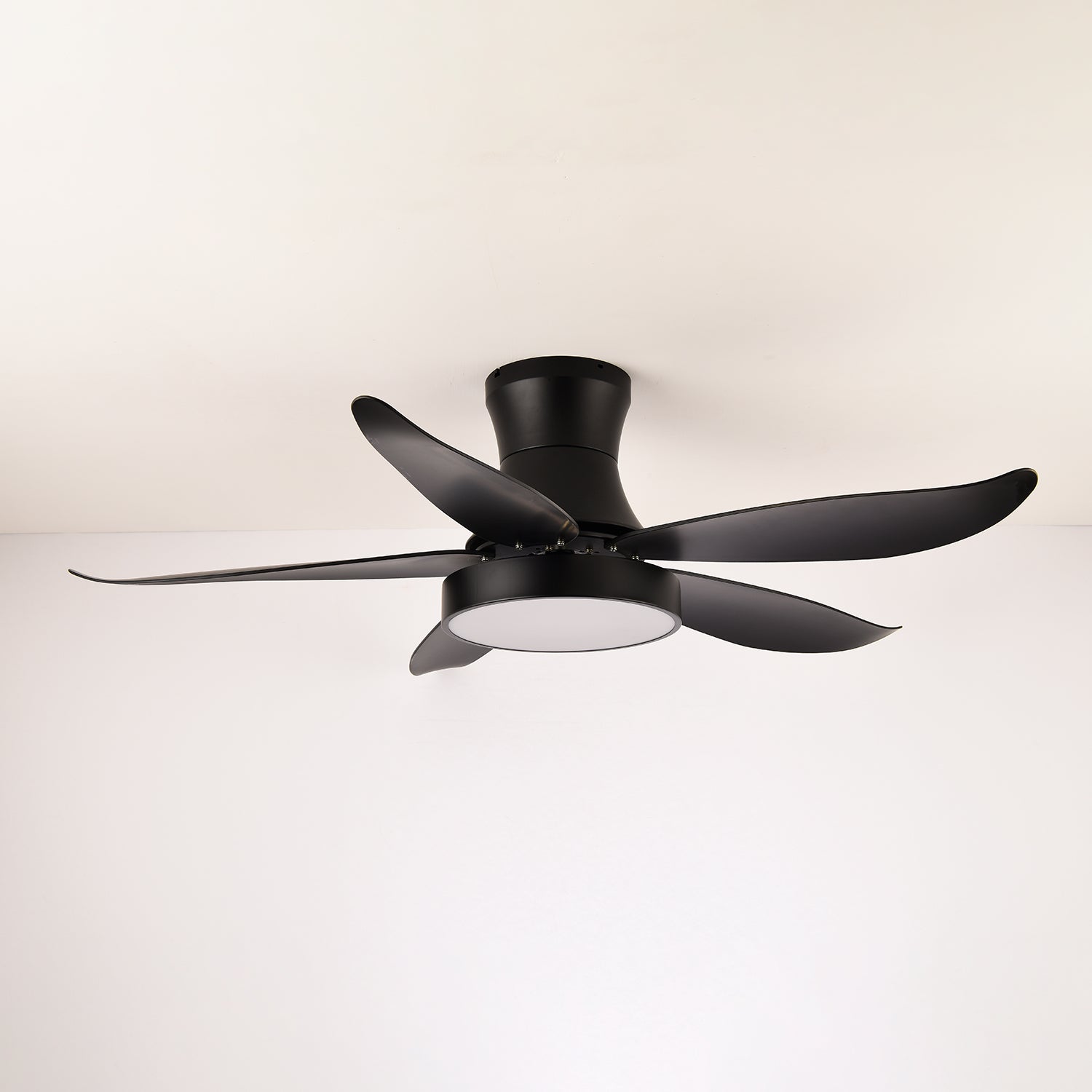 Zephyr Noir Luxe Sculpted Ceiling Fan Light