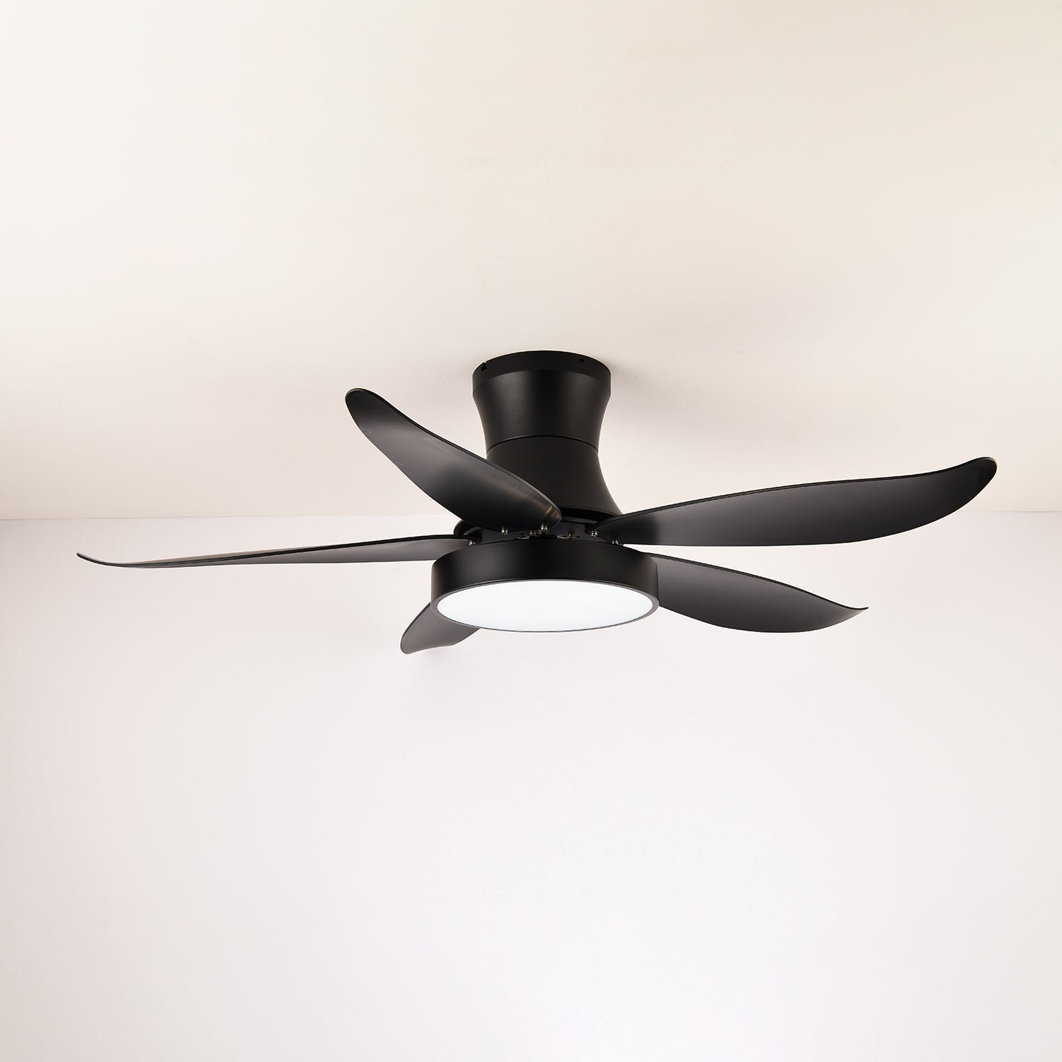Zephyr Noir Luxe Sculpted Ceiling Fan Light
