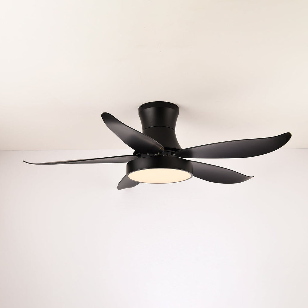 Zephyr Noir Luxe Sculpted Ceiling Fan Light
