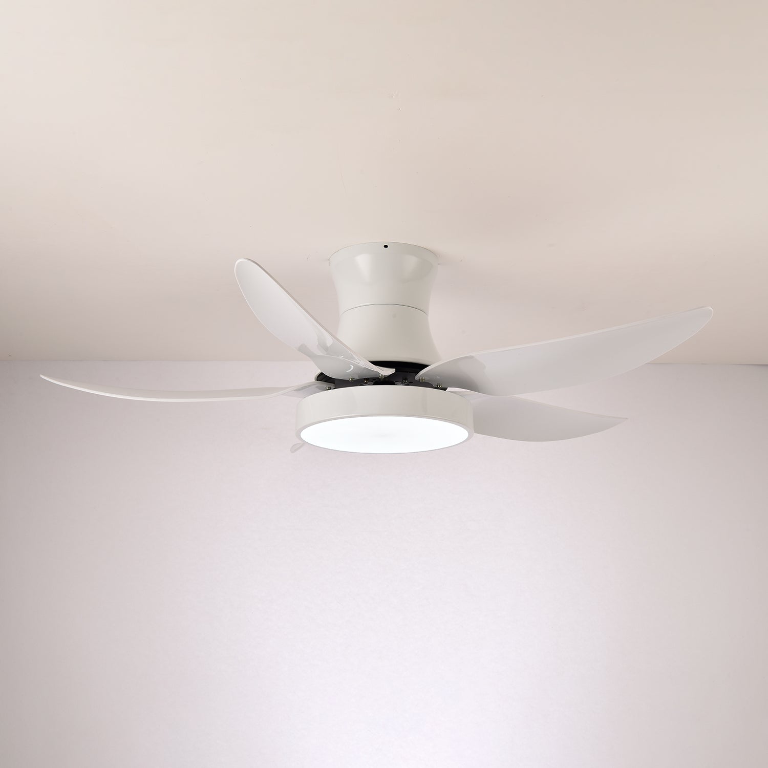 Zephyr Noir Luxe Sculpted Ceiling Fan Light