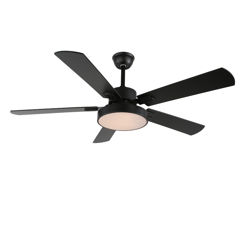 Zephyris Streamlined Modern Ceiling Light Fixture