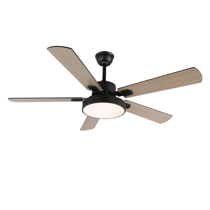 Zephyris Streamlined Modern Ceiling Light Fixture