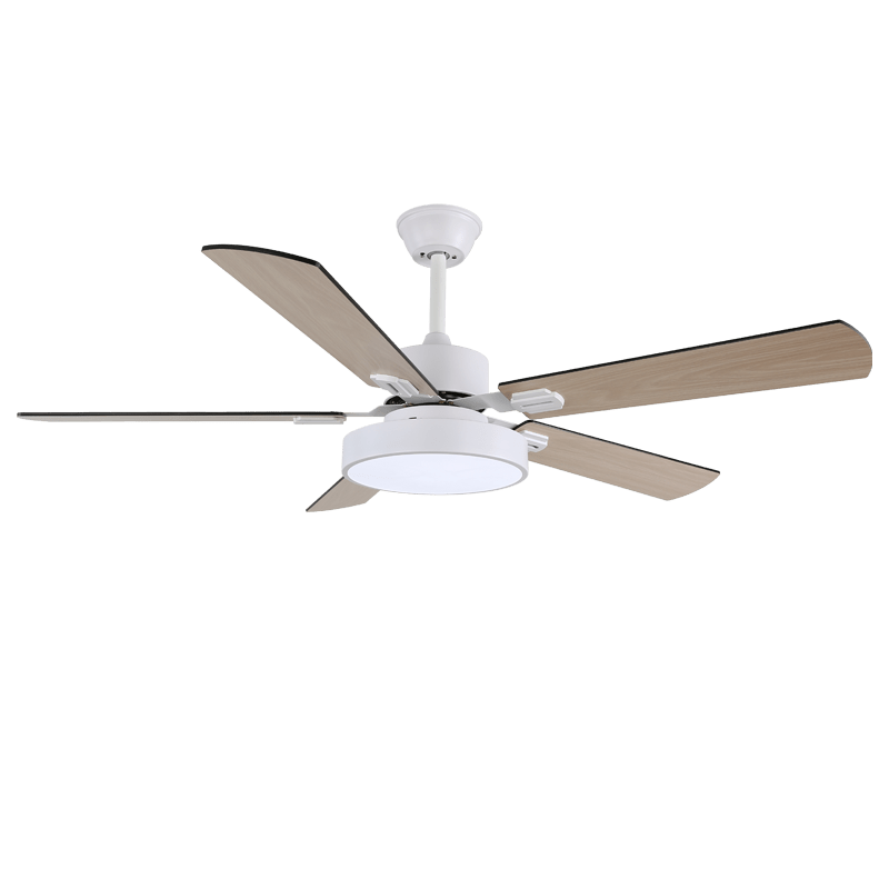 Zephyris Streamlined Modern Ceiling Light Fixture