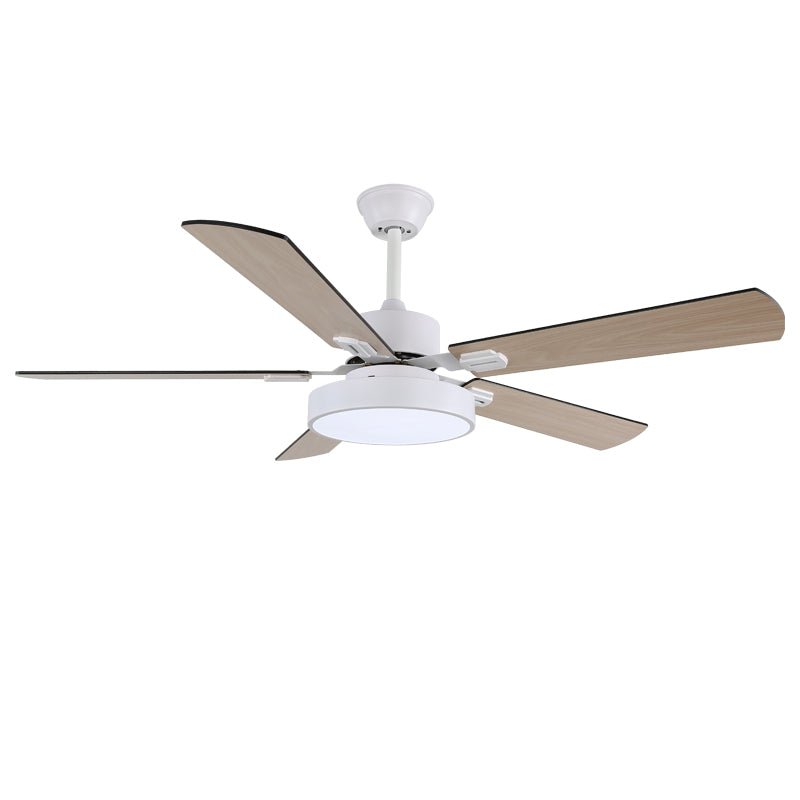 Zephyris Streamlined Modern Ceiling Light Fixture