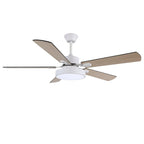 Zephyris Streamlined Modern Ceiling Light Fixture