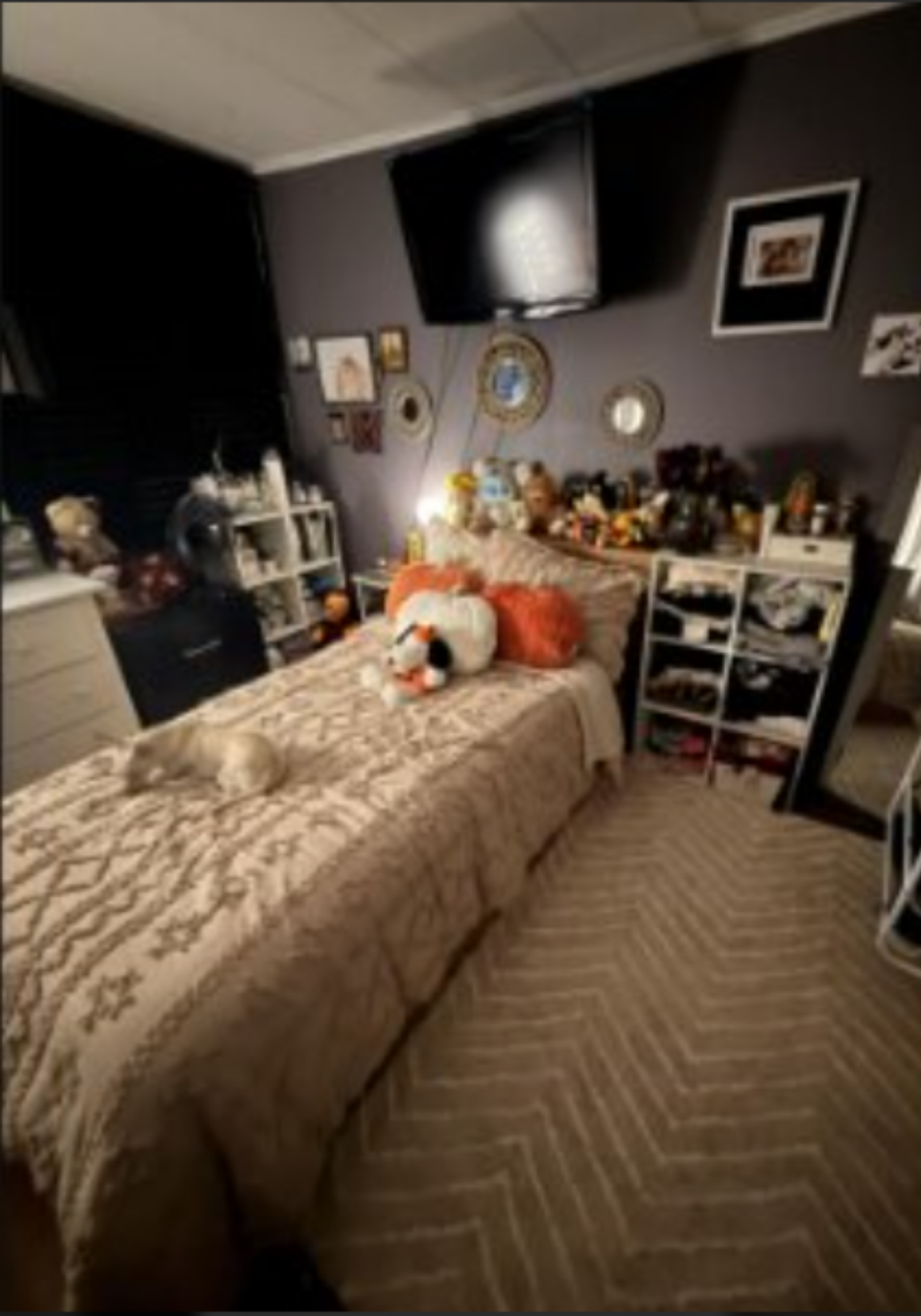 Customer photo, tufted comforter